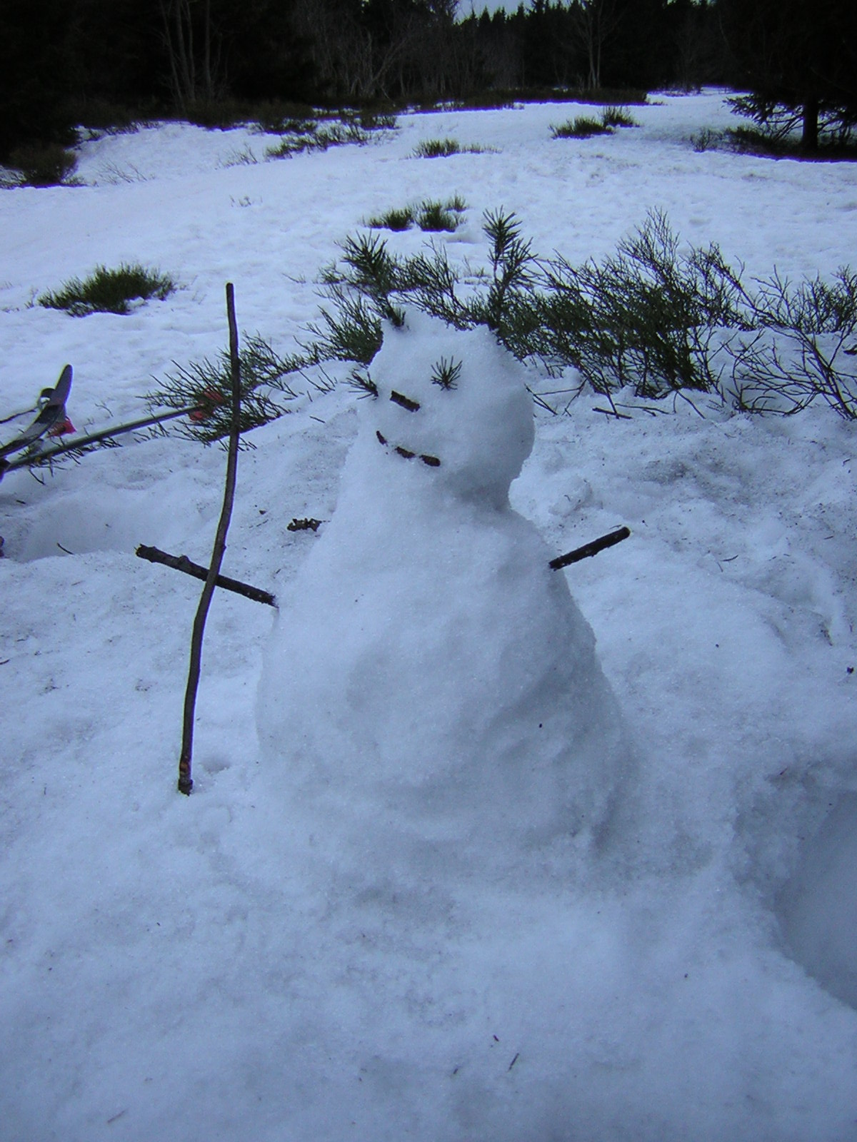 DSCN3101.JPG